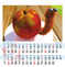 Radius 08 calendar design, kalendarz, folder, ulotki, photo, portret, design, DTP, szkolenia Photoshop Łódź